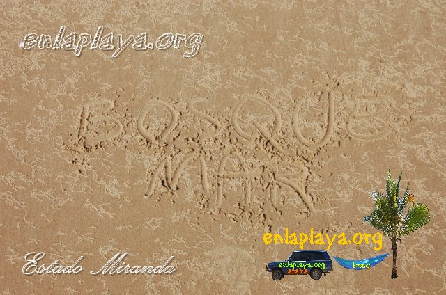 Playa Bosque Mar M015, sector Muchurucuto