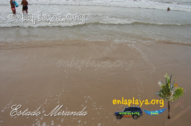 Playa Tacarigua M038