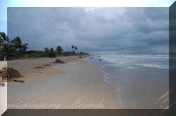 Playa Motta (Caño Copei) M048