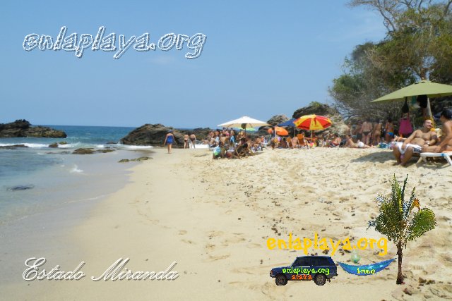 Playa Caiman M097