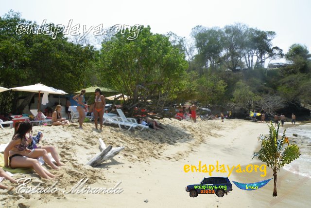 Playa Caiman M097
