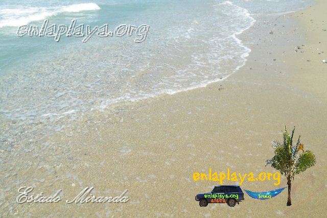 Playa El Algarrobo M101