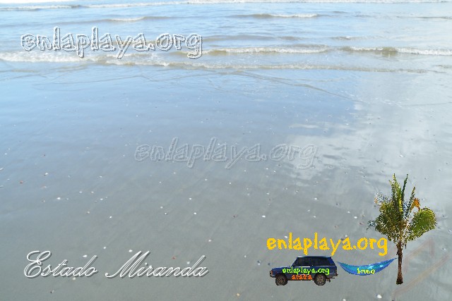 Playa Caño Madrid M063