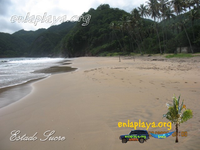 Playa Chaguarama de Loero S045