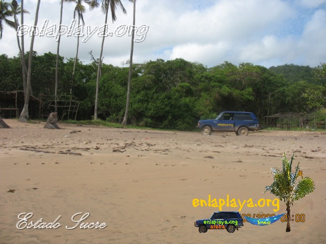 Playa Chaguarama de Loero S045