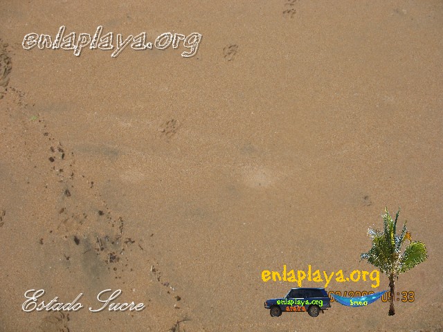 Playa Uva S044