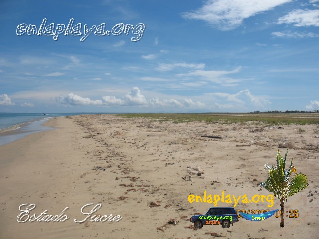 Playa Los Muertos (Araya) S111 