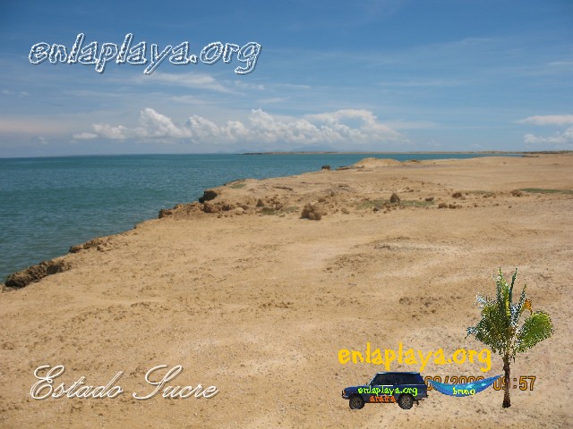 Playa Punta El Gato (Caracolito) S113 