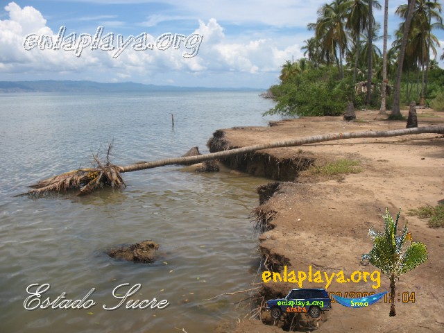 Playa Guaracayal S140 