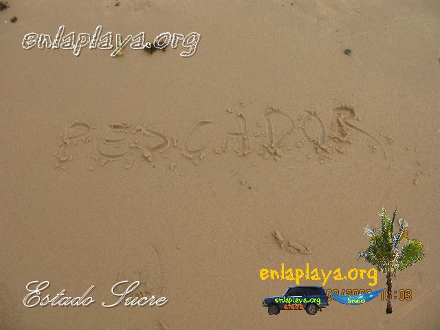 Playa Pescador S173 