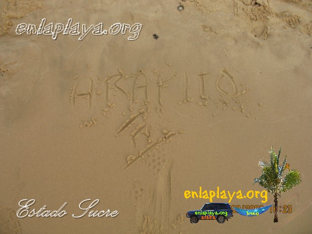 Playa Arapito S175 